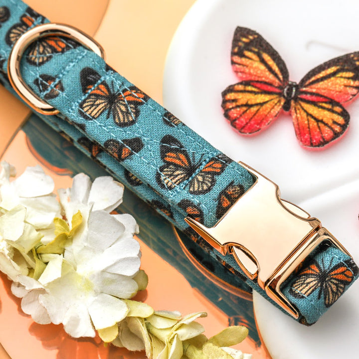 Social Butterfly - Blue Monarch Butterfly Dog Collar