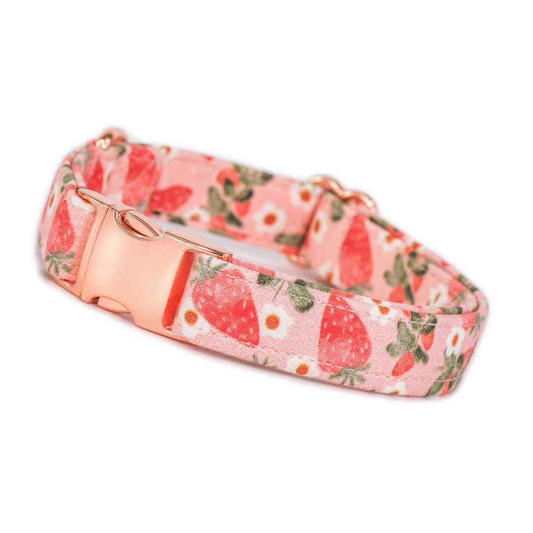 So Berry Sweet - Pink Strawberry Dog Collar