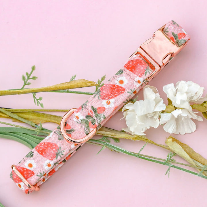 So Berry Sweet - Pink Strawberry Dog Collar