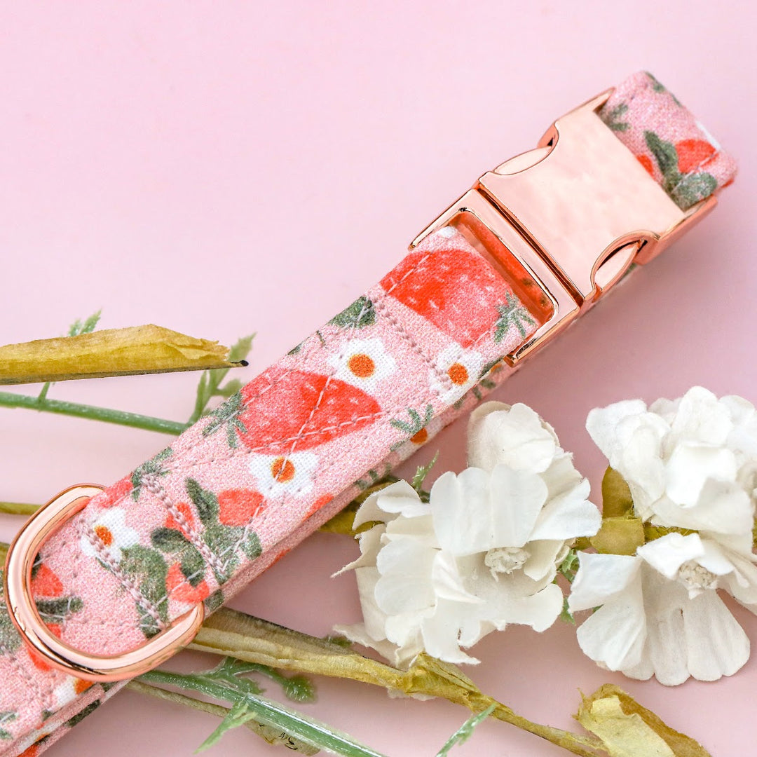 So Berry Sweet - Pink Strawberry Dog Collar