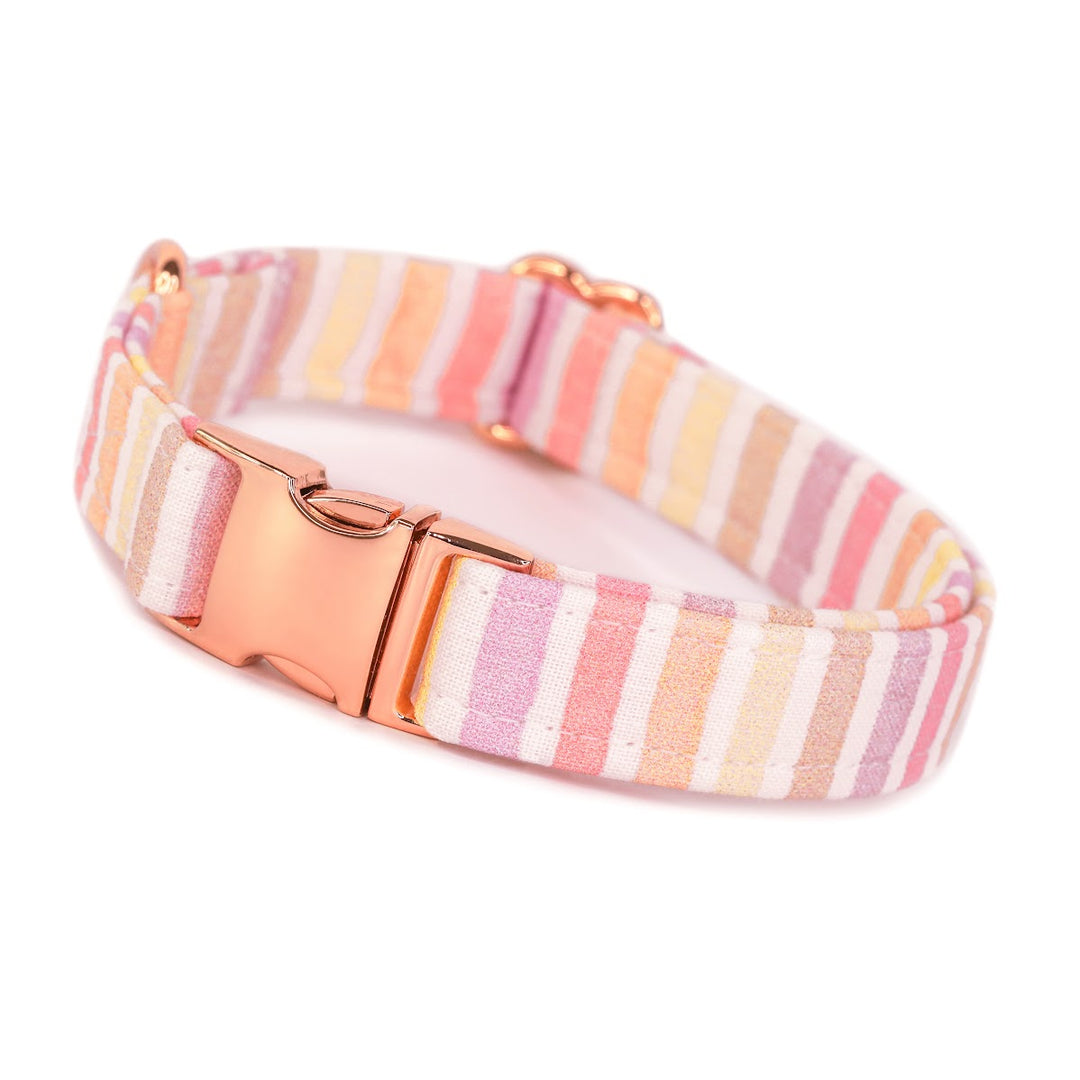 Earned My Stripes - Pastel Striped Dog Collar