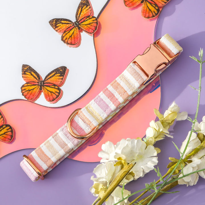 Earned My Stripes - Pastel Striped Dog Collar