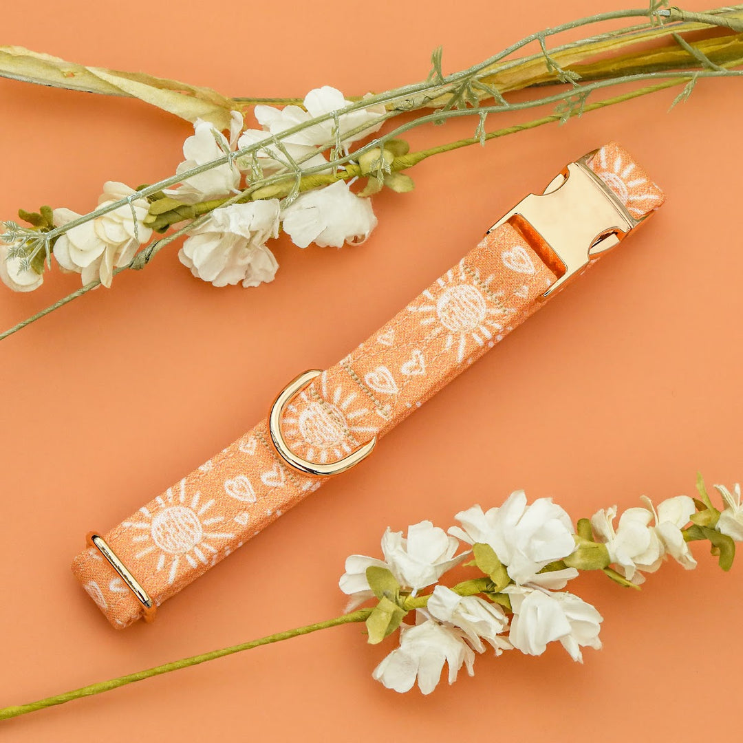 Sundaze - Muted Orange Boho Sun Dog Collar