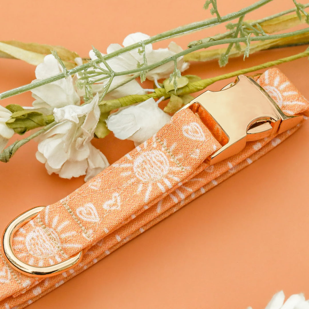 Sundaze - Muted Orange Boho Sun Dog Collar