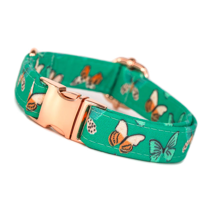 Spread Your Wings - Teal Green Butterfly Dog Collar