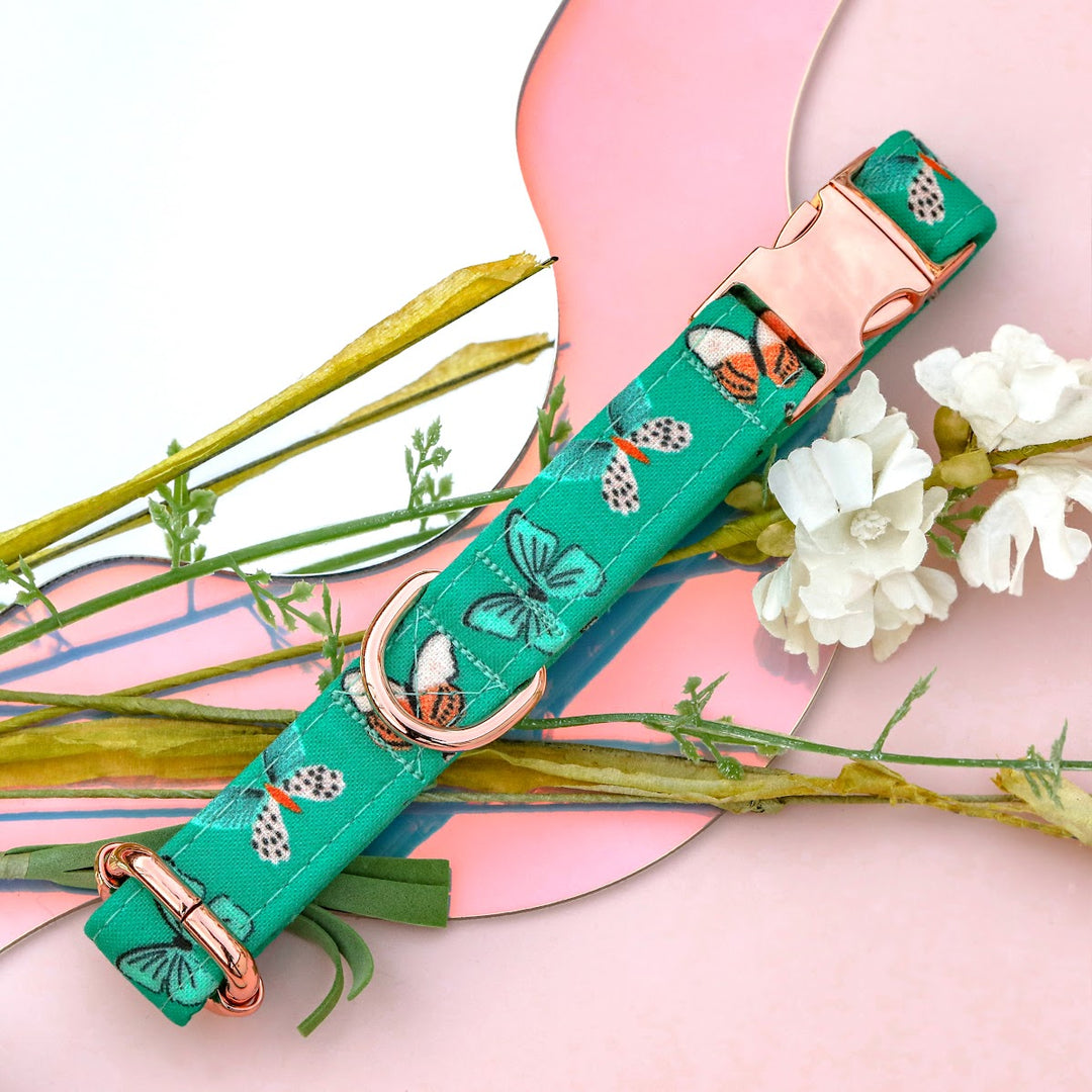 Spread Your Wings - Teal Green Butterfly Dog Collar