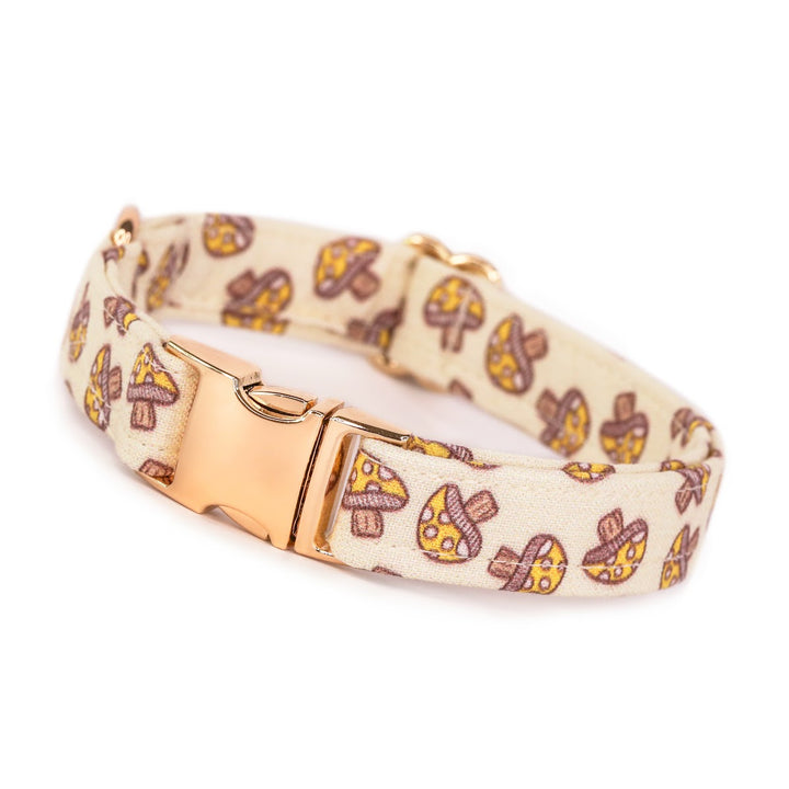 Mushroom Mania - Yellow Mushroom Dog Collar