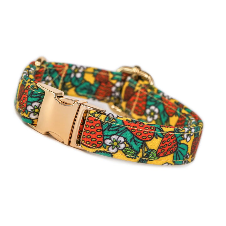 Strawberry Fields - Yellow Strawberry Dog Collar