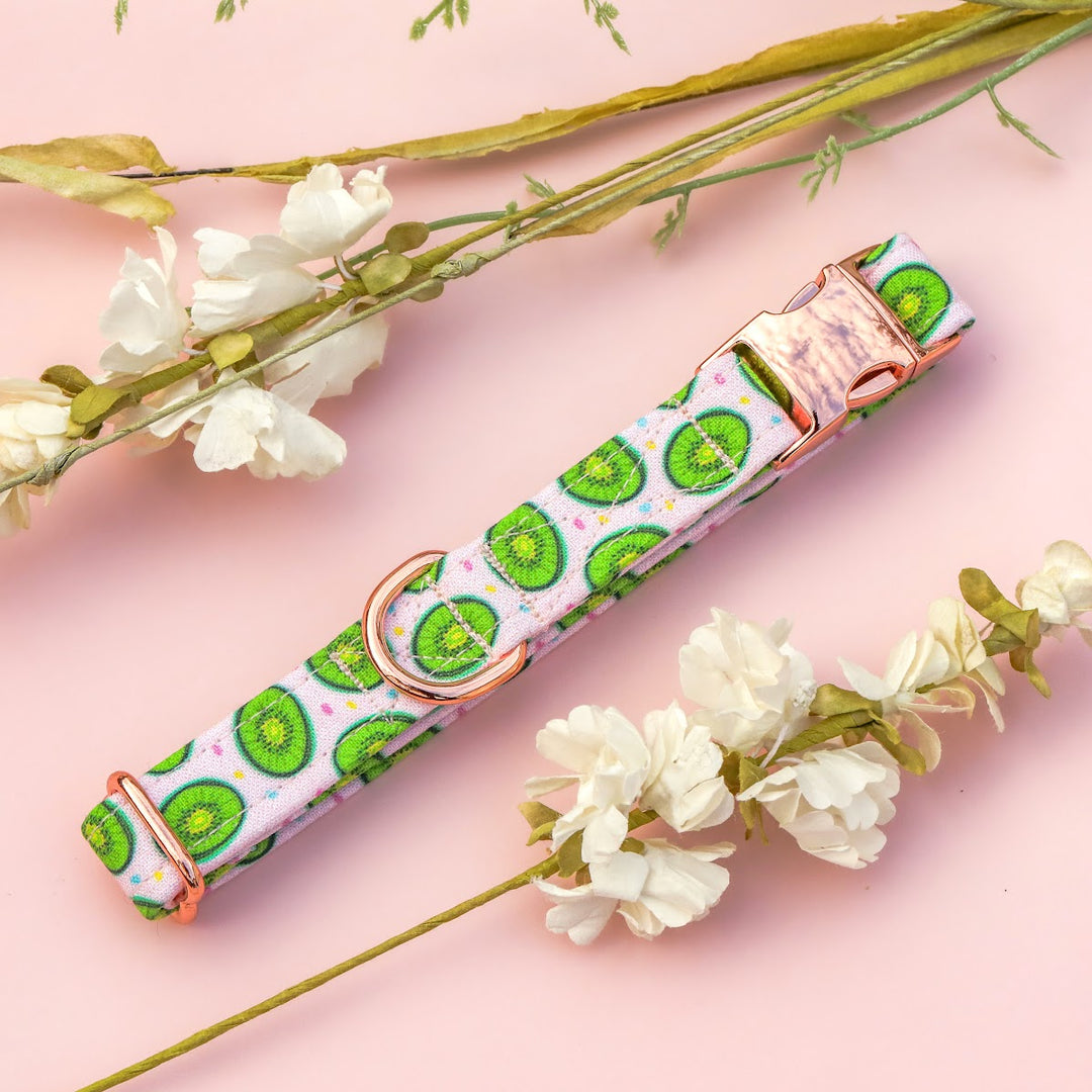 Tooti Fruity - Light Pink Kiwi Dog Collar