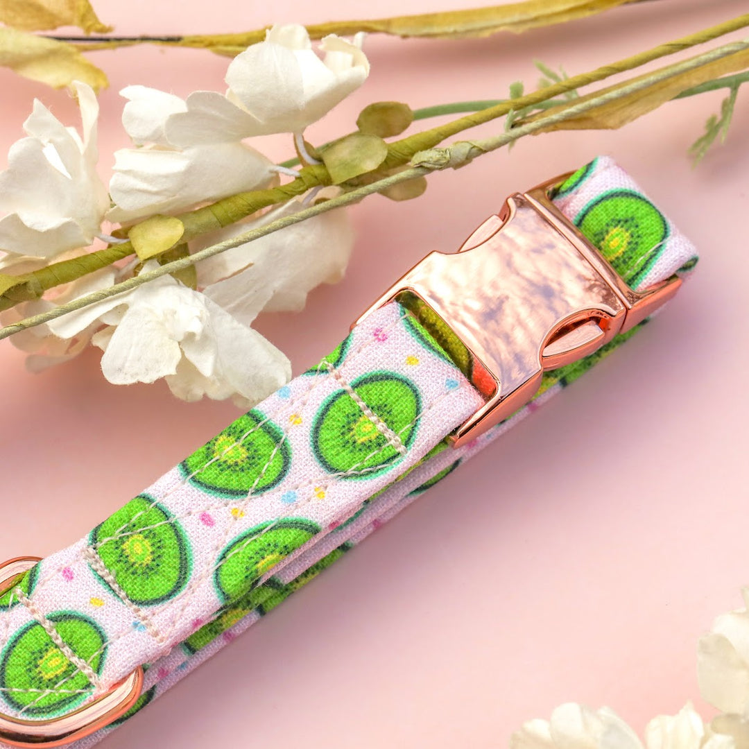 Tooti Fruity - Light Pink Kiwi Dog Collar