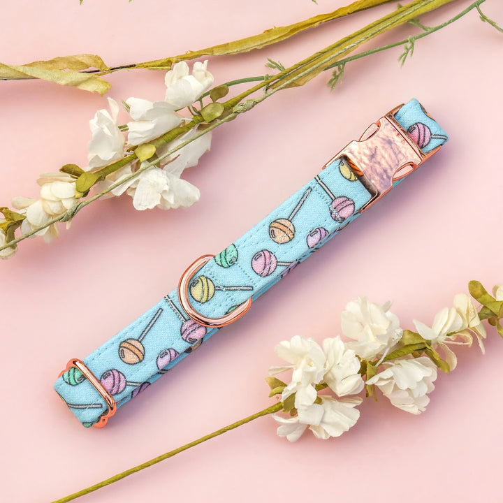 Sucker 4 U - Light Blue Lollipop Dog Collar