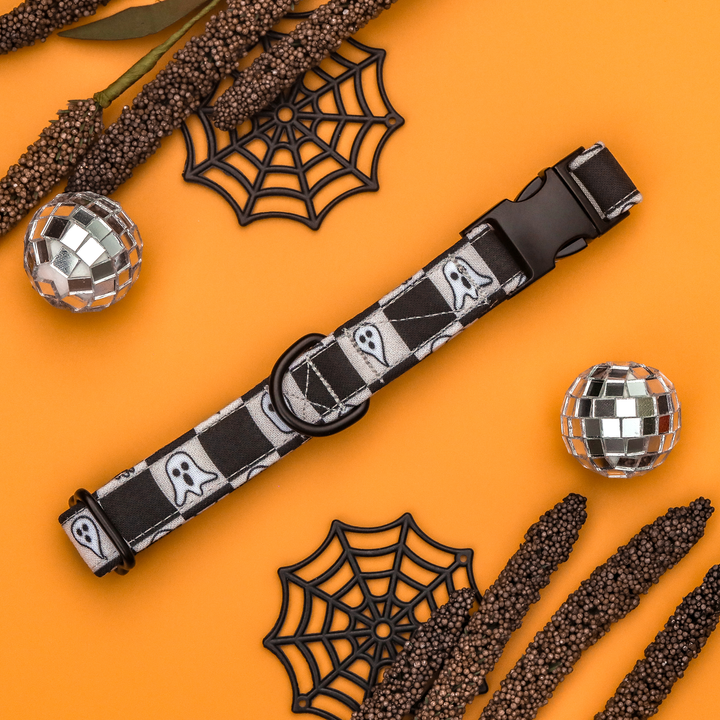 Ain't Afraid Of No Ghosts - Checkered Ghost Halloween Dog Collar