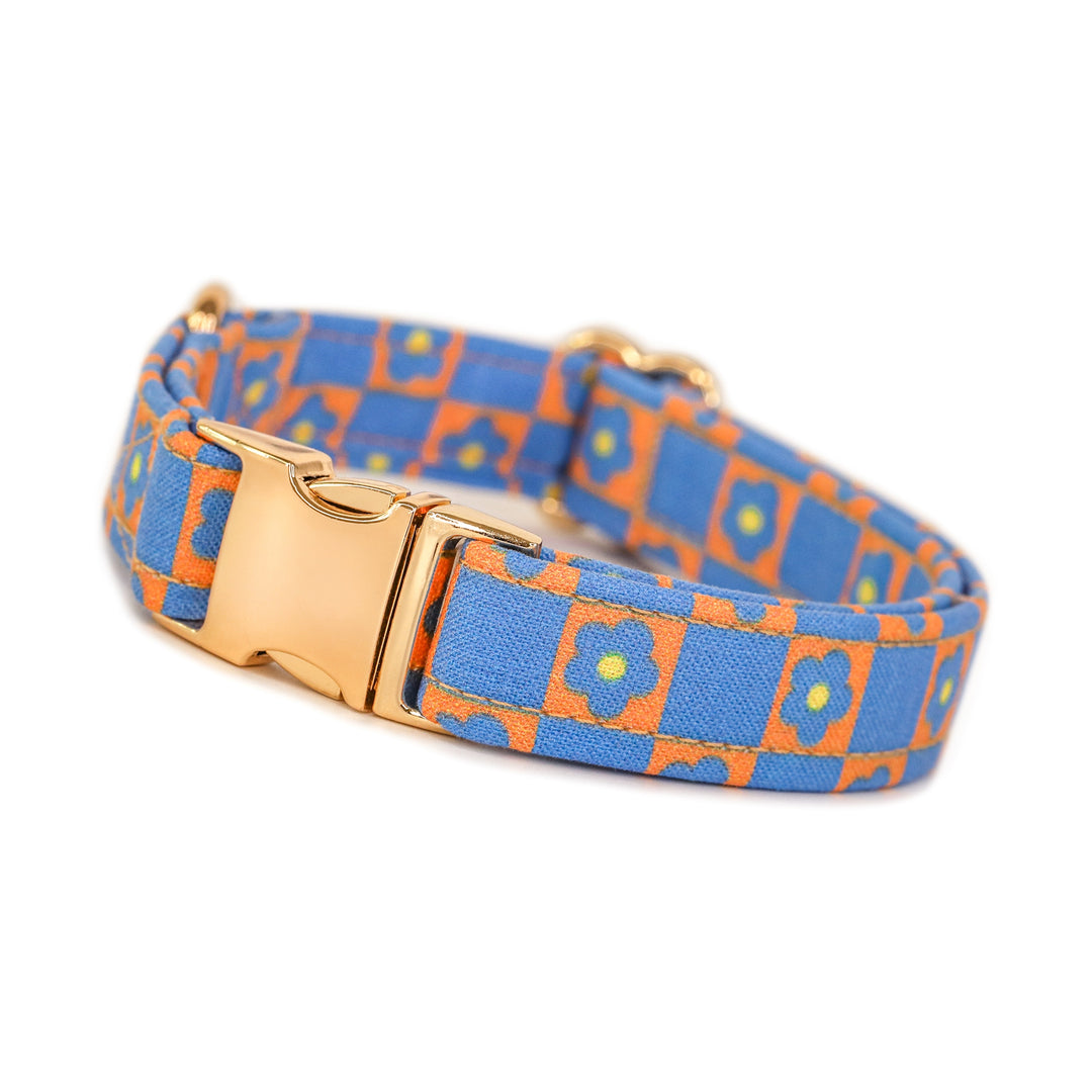 Angelica - Blue Orange Checkered Dog Collar