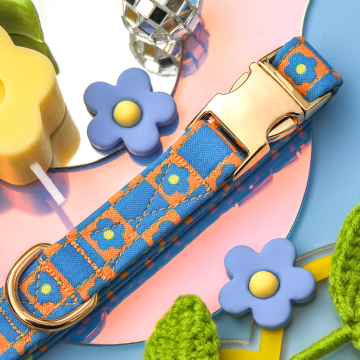 Angelica - Blue Orange Checkered Dog Collar