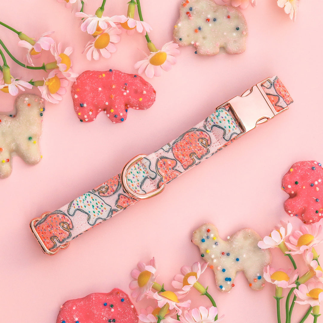 Party Animal - Animal Cookie Dog Collar