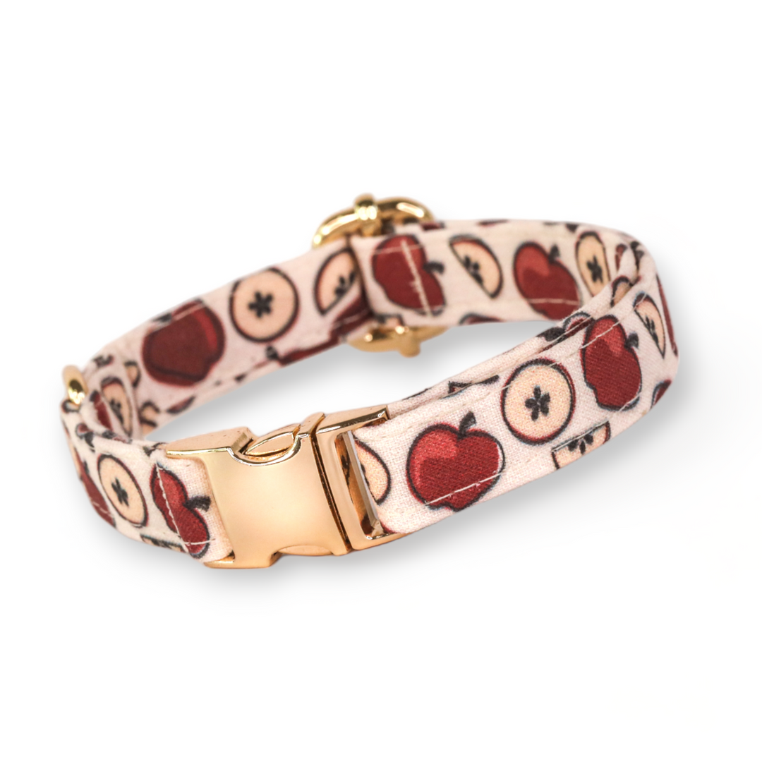 Apple of My Eye - Apple Dog Collar