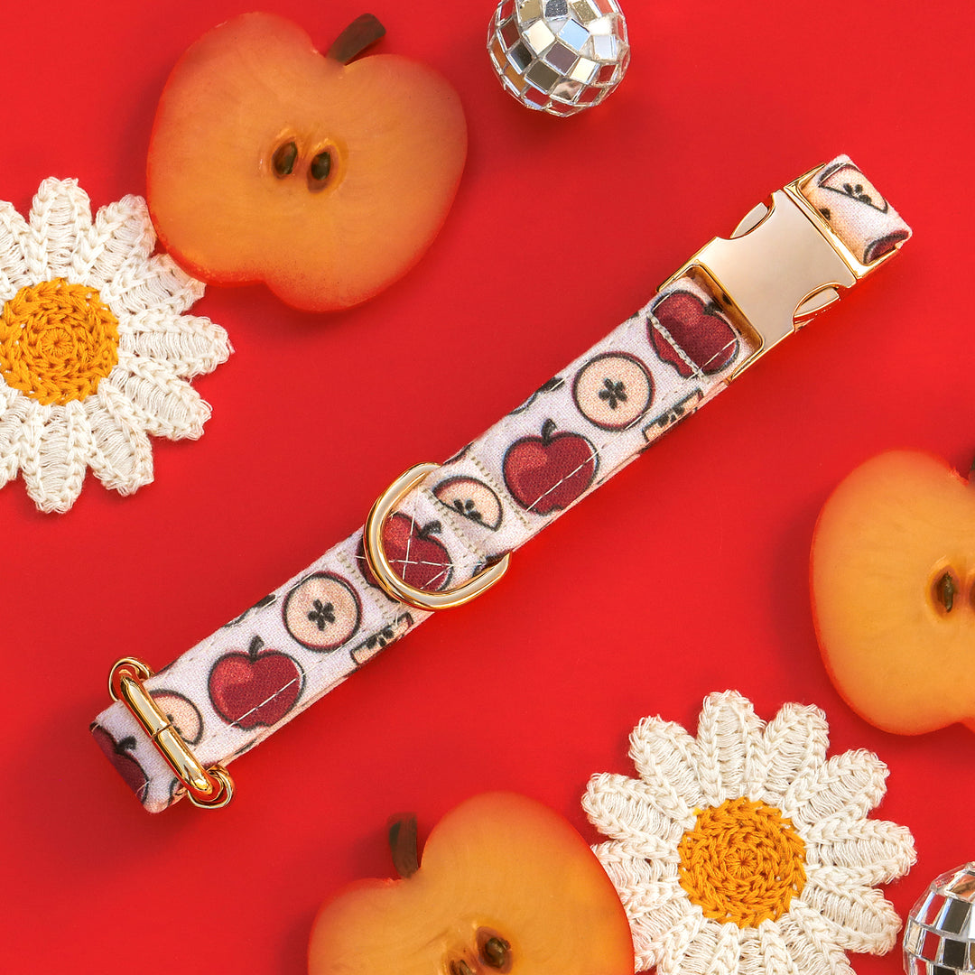 Apple of My Eye - Apple Dog Collar