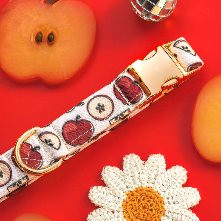 Apple of My Eye - Apple Dog Collar