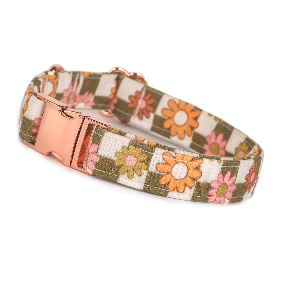 Autumn - Green Daisy Floral Checkered Fall Dog Collar