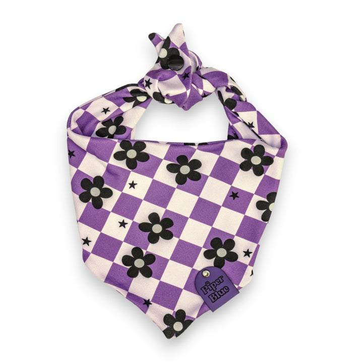 Bewitched - Purple Checked Halloween Pet Bandana