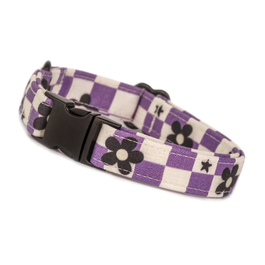 Bewitched - Purple Checked Halloween Dog Collar