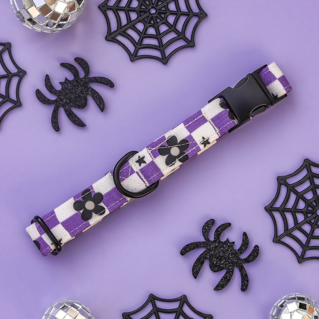 Bewitched - Purple Checked Halloween Dog Collar