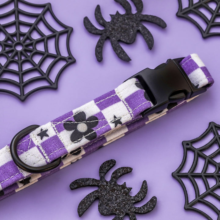 Bewitched - Purple Checked Halloween Dog Collar