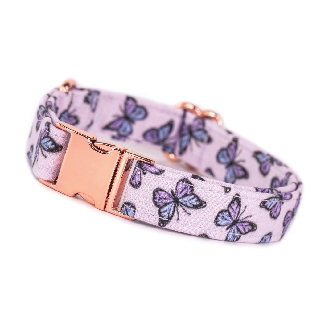 Bliss - Purple Butterfly Dog Collar