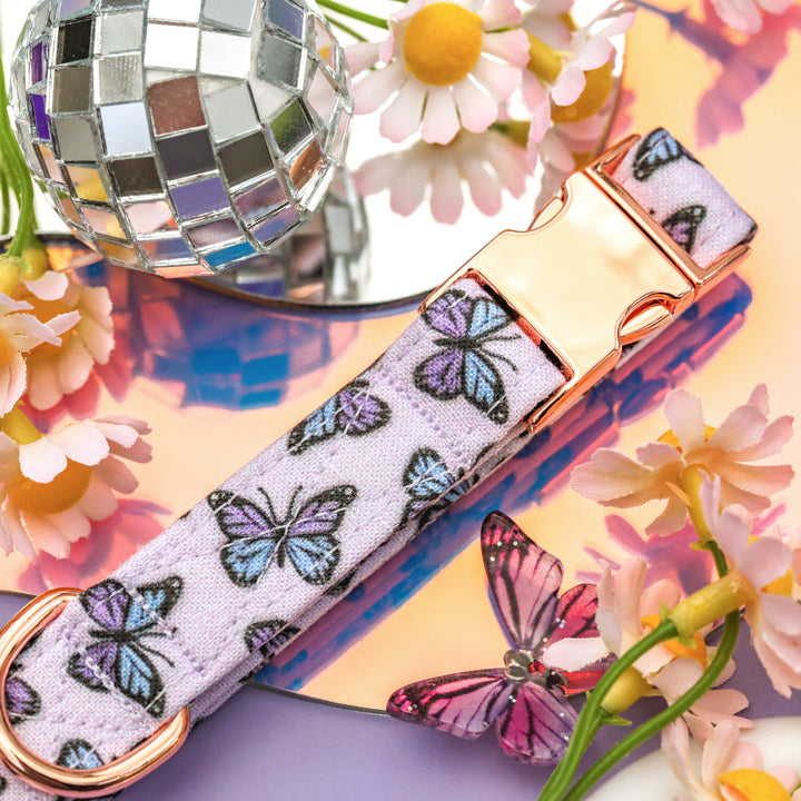 Bliss - Purple Butterfly Dog Collar