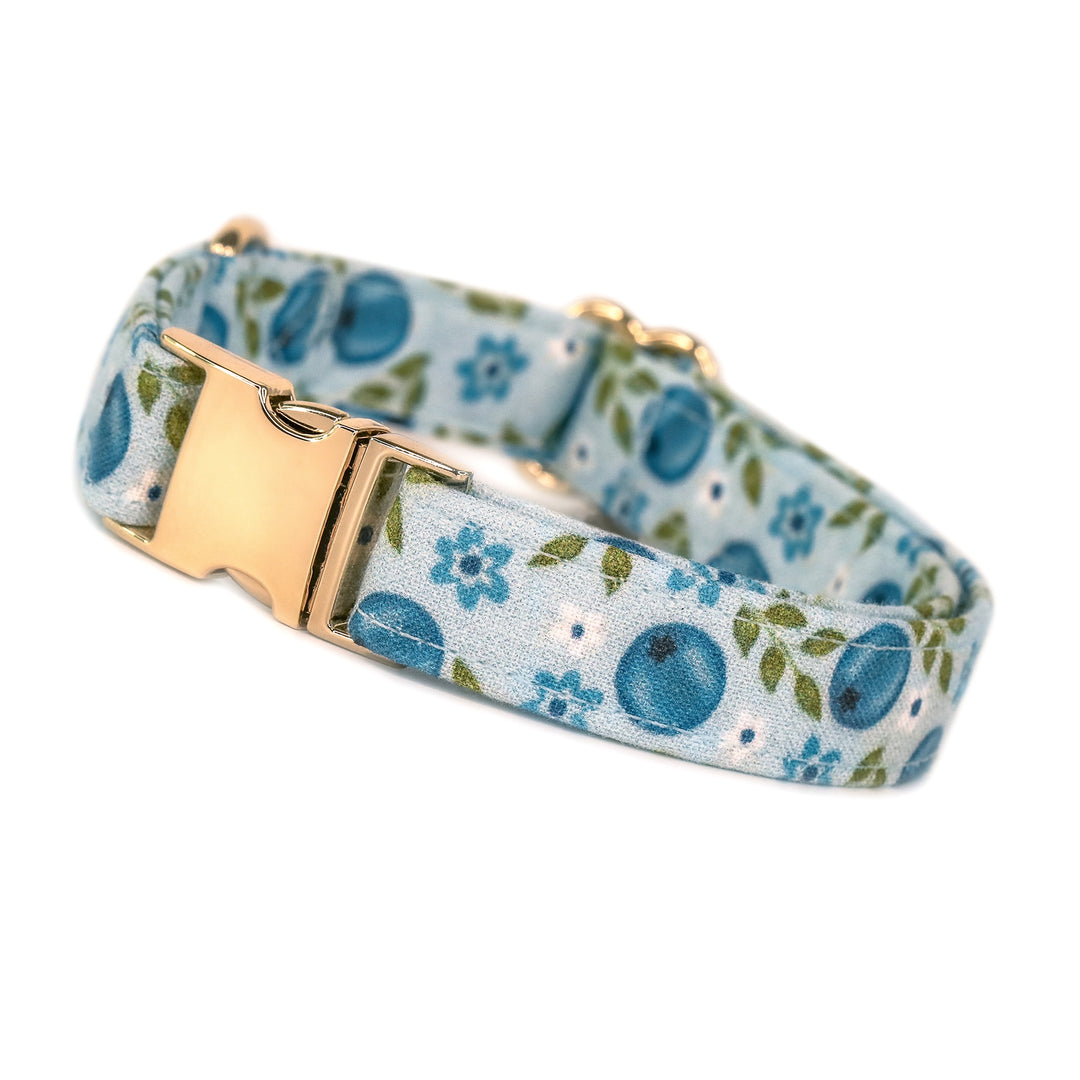 Blooming Blue - Blueberry Floral Dog Collar