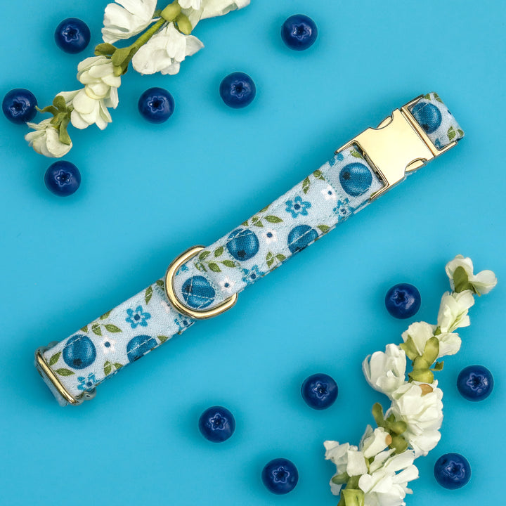 Blooming Blue - Blueberry Floral Dog Collar