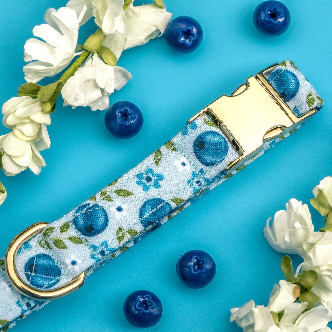 Blooming Blue - Blueberry Floral Dog Collar