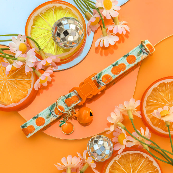 Clementine Cutie - Blue Clementine Cat Collar