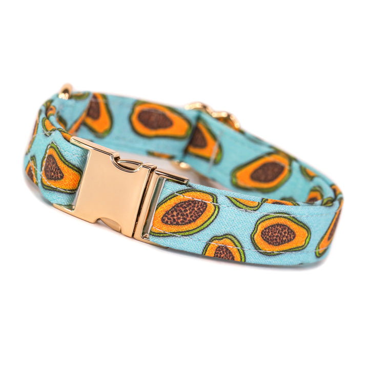 Pawpaya - Papaya Dog Collar