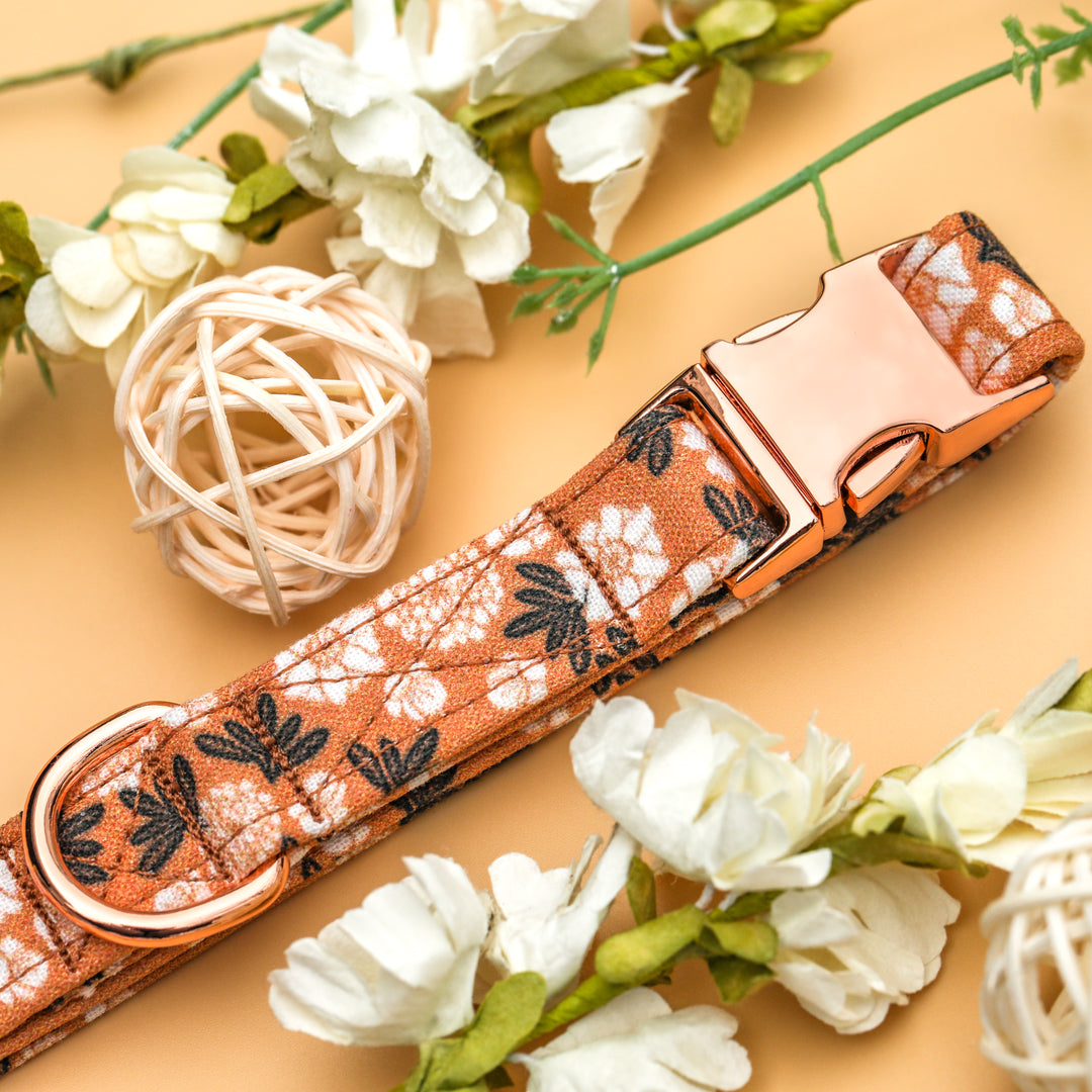 Flora - Boho Floral Dog Collar