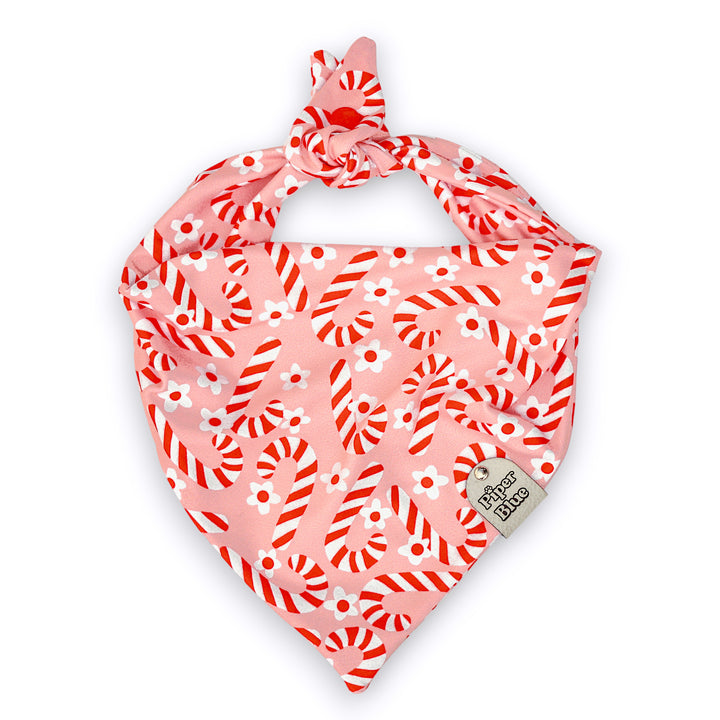 Candy Cane Kisses - Pink Daisy Candy Cane Christmas Dog Bandana