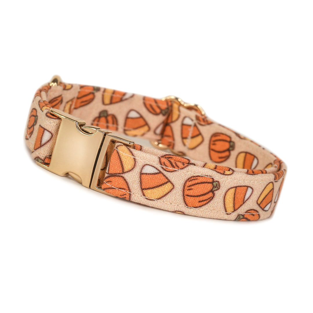 Sweet Tooth - Neutral Orange Candy Corn Halloween Dog Collar