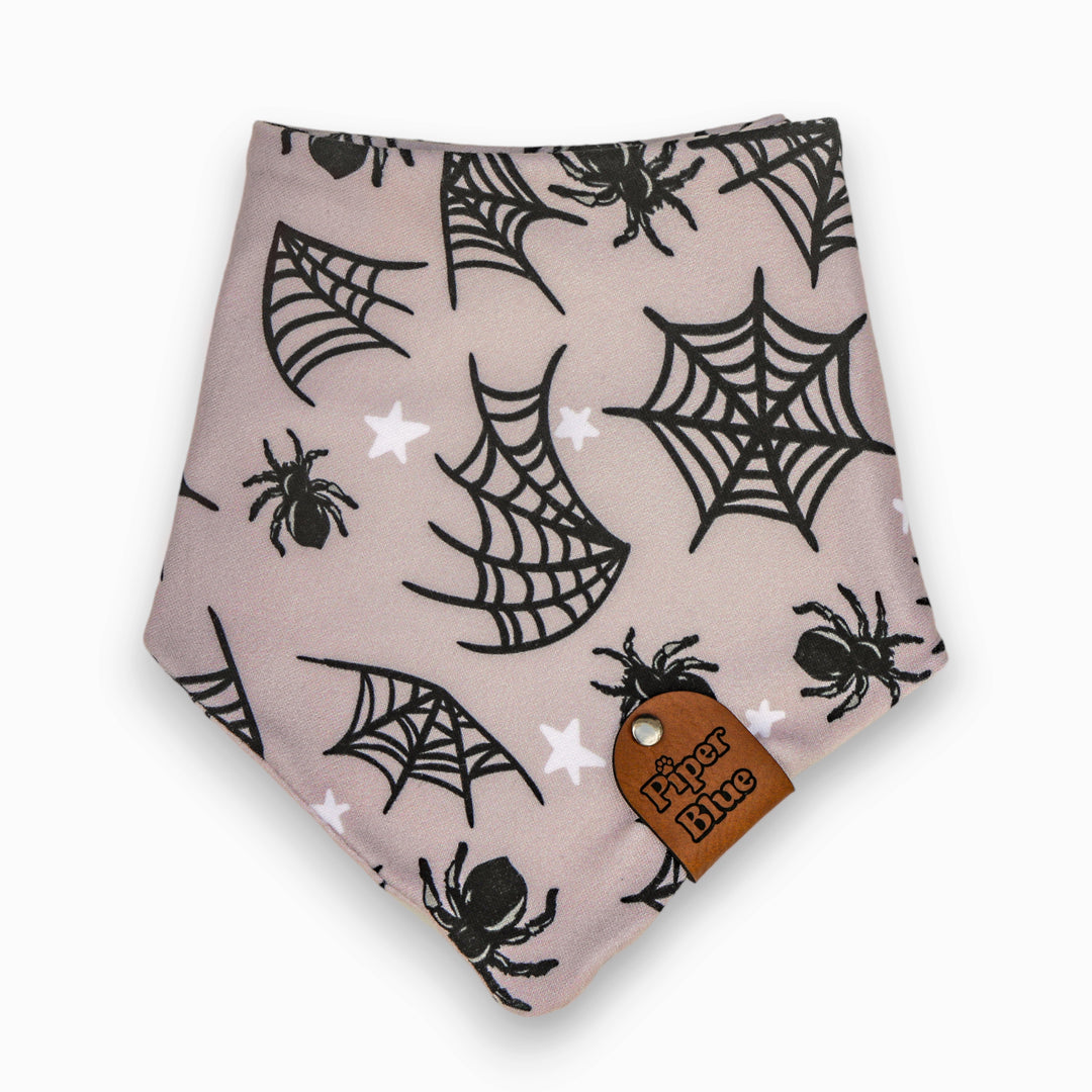 Caught Up In Your Web - Spiderweb Halloween Pet Bandana