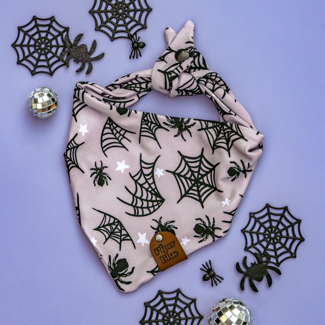 Caught Up In Your Web - Spiderweb Halloween Pet Bandana