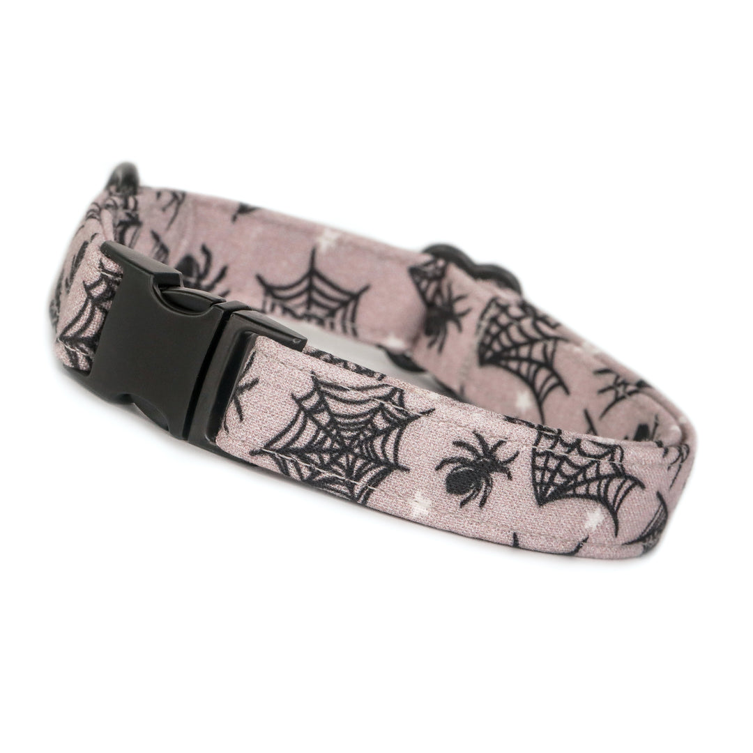 Caught Up In Your Web - Gray Purple Spider Halloween Dog Collar