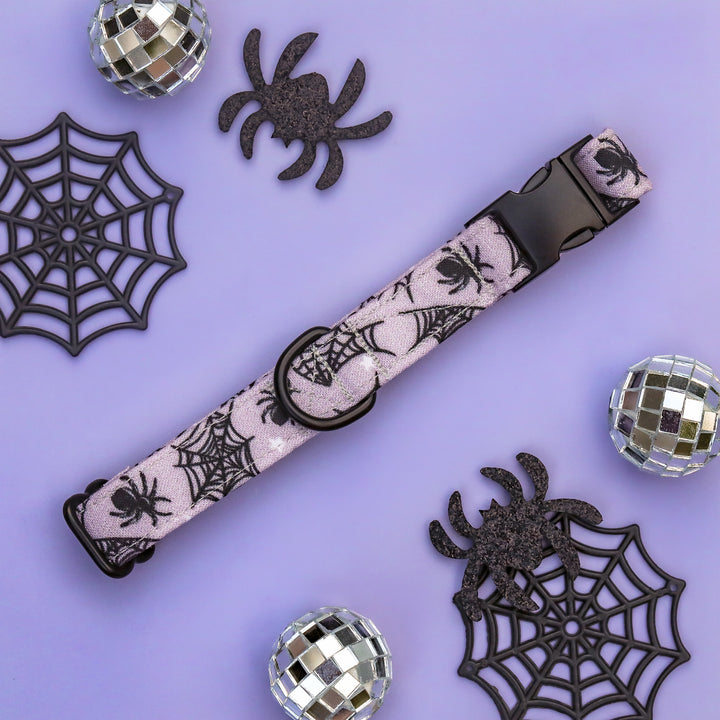 Caught Up In Your Web - Gray Purple Spider Halloween Dog Collar