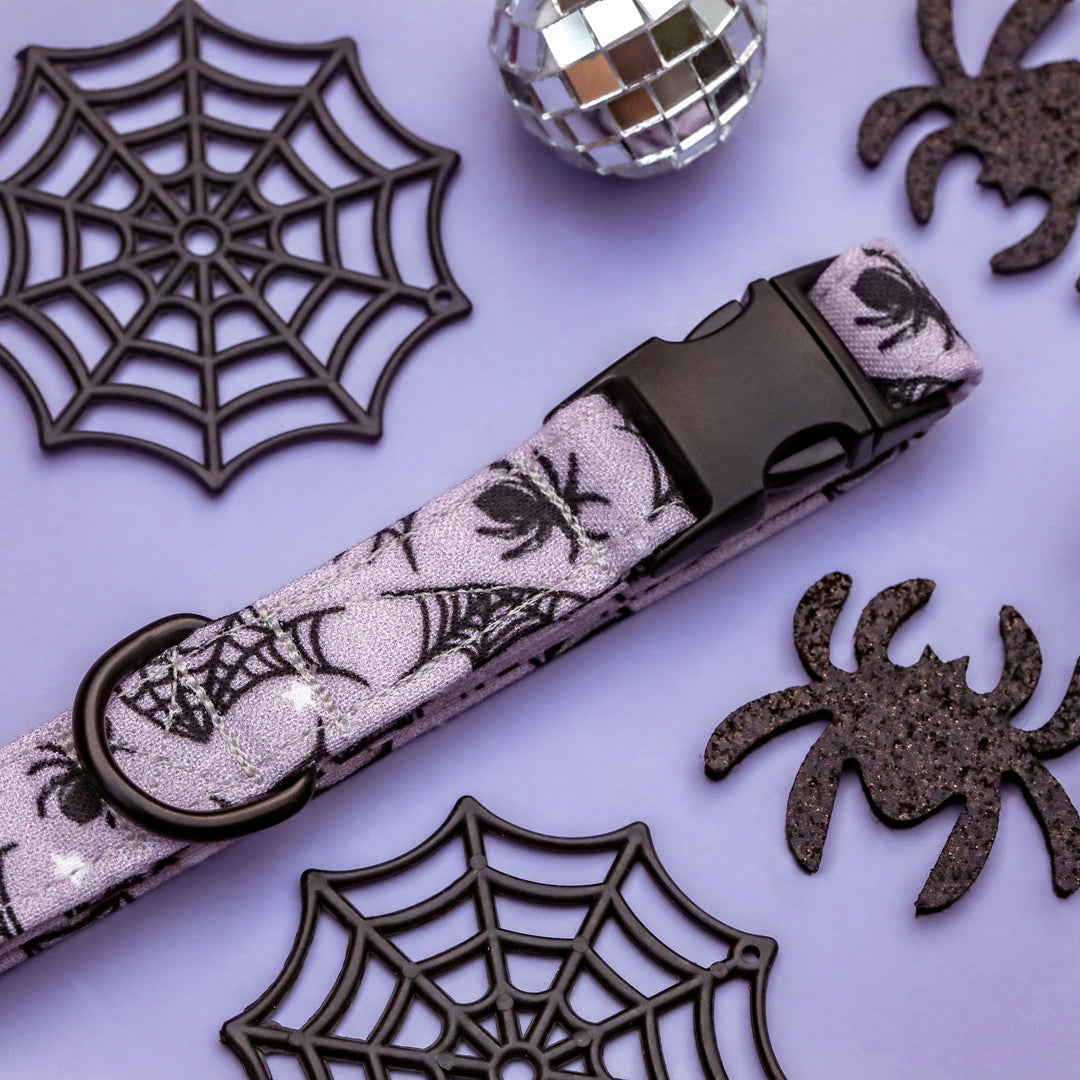 Caught Up In Your Web - Gray Purple Spider Halloween Dog Collar