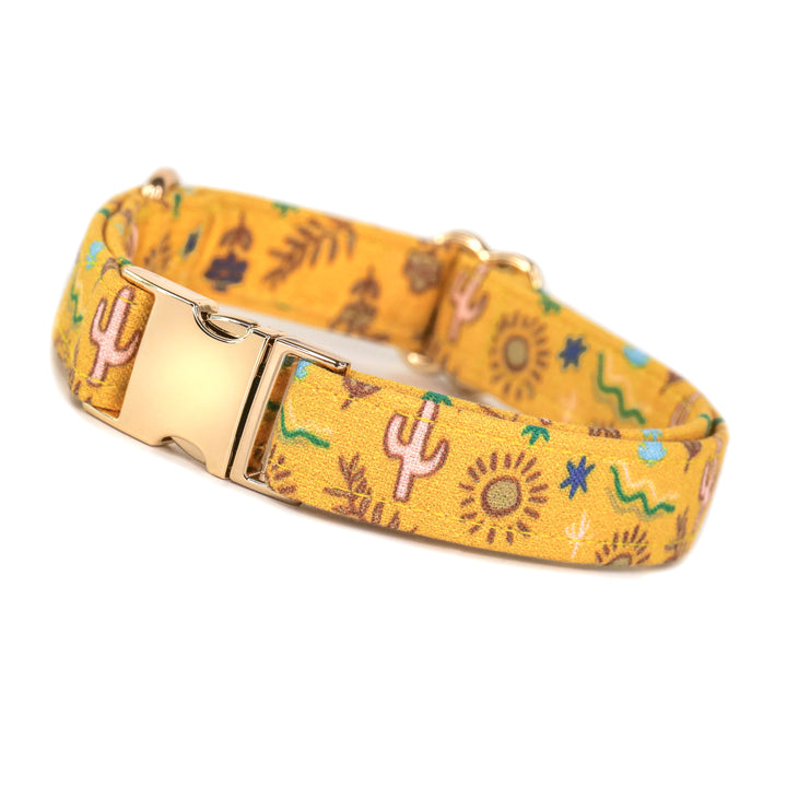 Sedona Sunrise - Desert Dog Collar