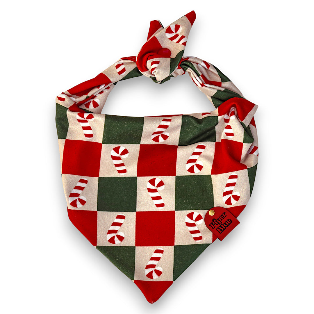 Checkermint - Red and Green Checkered Candy Cane Christmas Dog Bandana