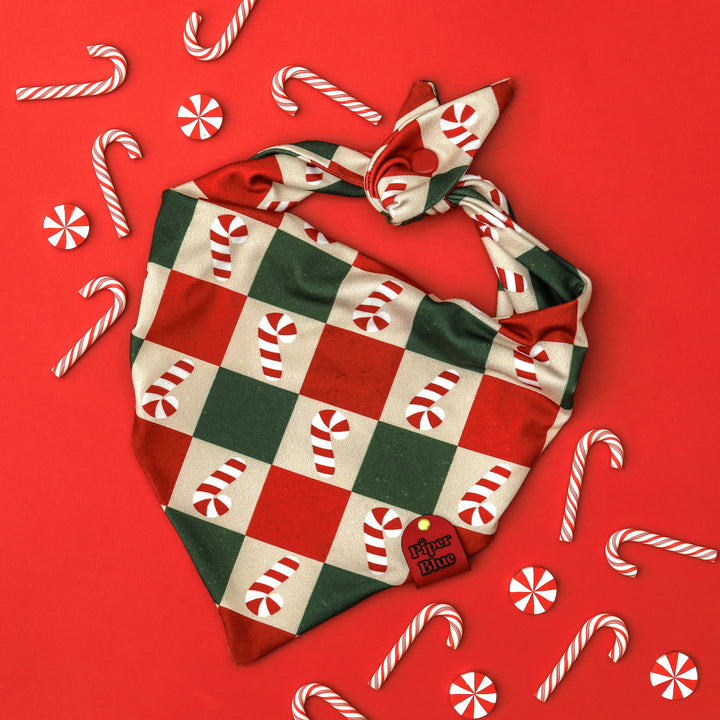 Checkermint - Red and Green Checkered Candy Cane Christmas Dog Bandana