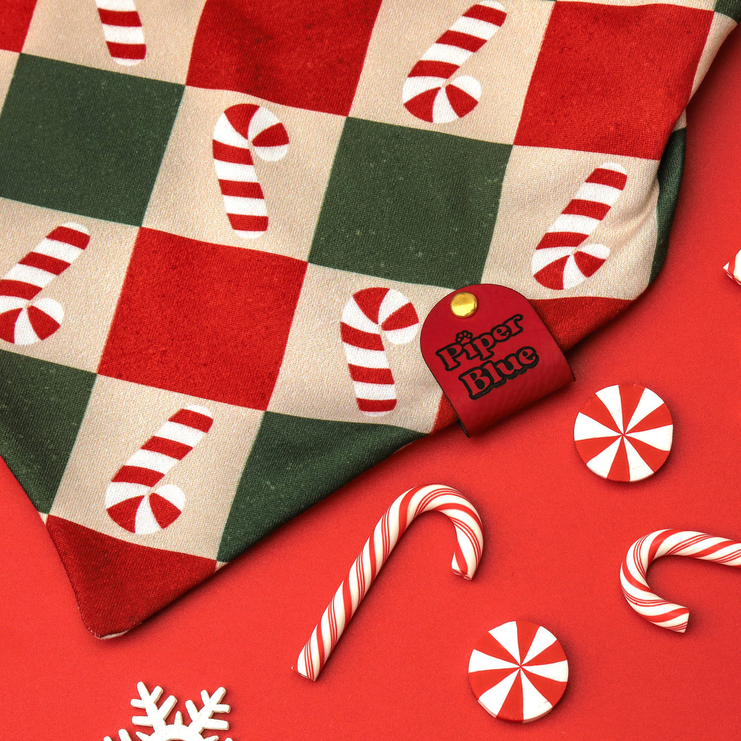 Checkermint - Red and Green Checkered Candy Cane Christmas Dog Bandana