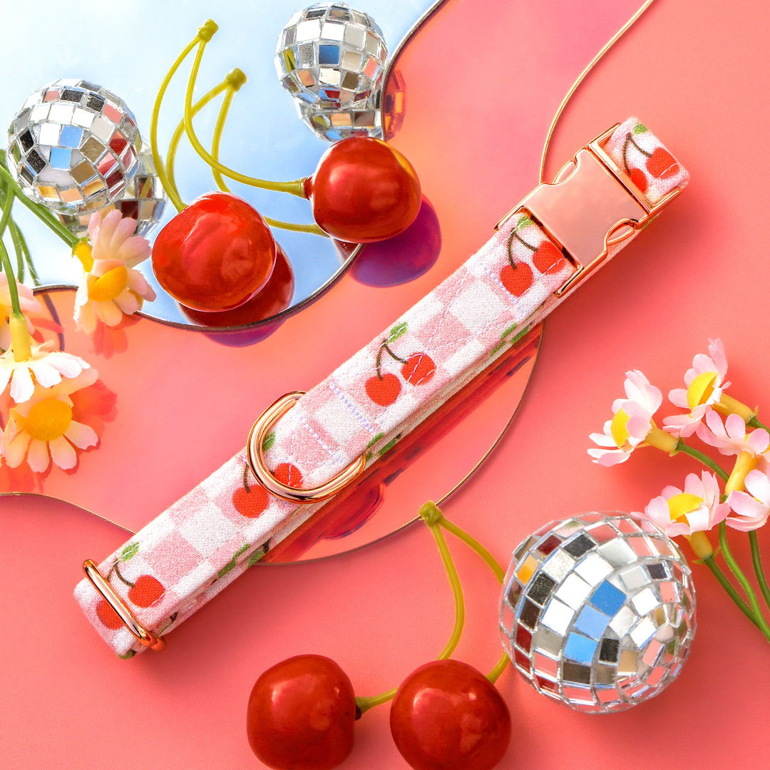 Cherry on Top - Retro Cherry Dog Collar