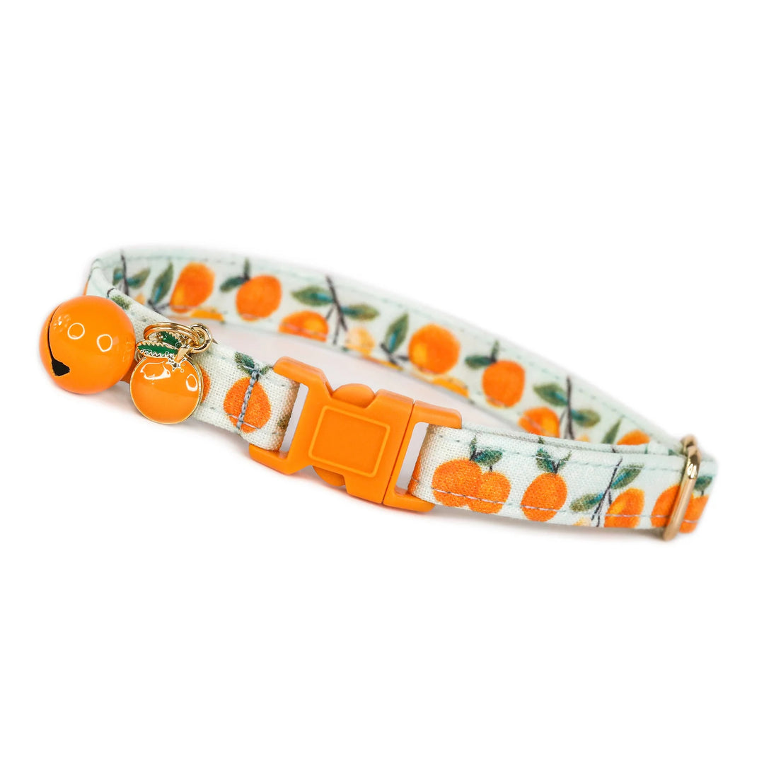 Clementine Cutie - Blue Clementine Cat Collar