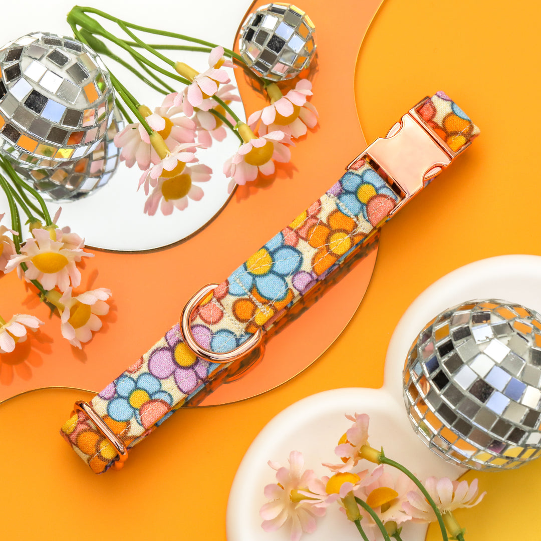 Color Me in Sunshine - Pastel Daisy Dog Collar