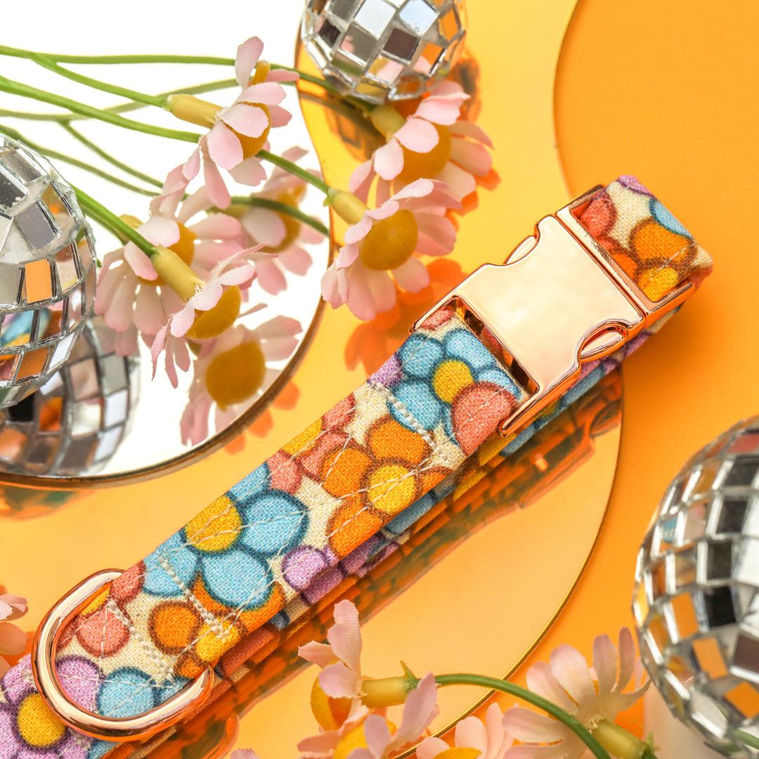 Color Me in Sunshine - Pastel Daisy Dog Collar